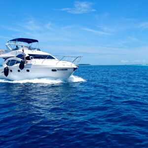 38 ft Axopar | From $1200 | 12 guest max